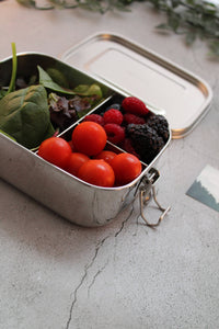 Stainless Steel Lunch Boxes 