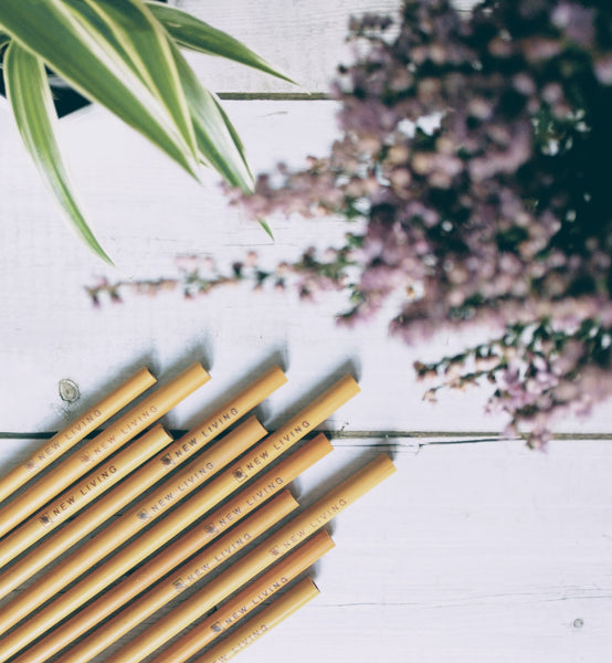 Making a Start to a more Sustainable Future - Bamboo Straws